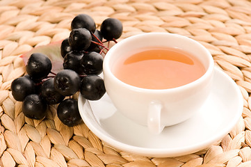 Image showing Black chokeberry tea