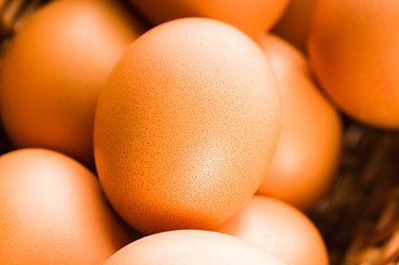 Image showing Fresh brown cage free eggs