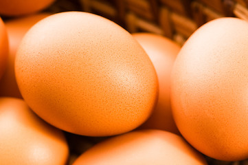 Image showing Fresh brown cage free eggs