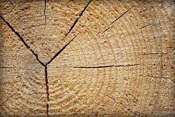 Image showing Rough raw wood with cracks