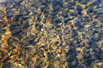 Image showing Bottom of clean mountain lake