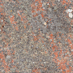 Image showing Seamless texture - rock with lichen