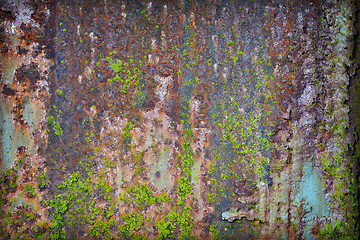 Image showing Grunge rusty iron with pieces of paint and moss