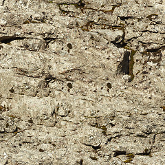 Image showing Seamless texture - natural stone