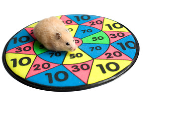 Image showing Hamster on the dartboard