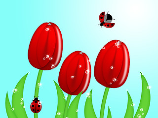 Image showing Ladybug Climbing Up Tulip Flower Stem