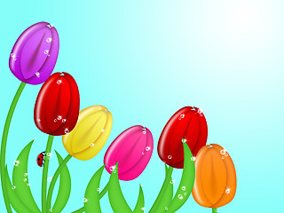 Image showing Ladybug Climbing Up Tulip Flower Stem Assorted Colors