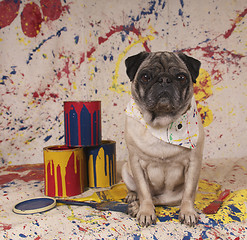 Image showing Artist Pug