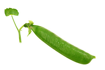 Image showing Pea pod