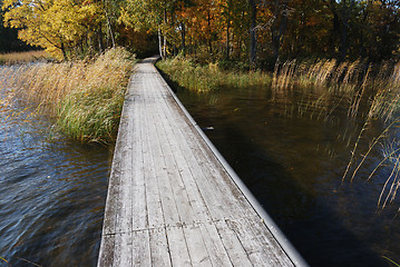 Image showing boardwalk