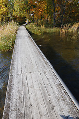 Image showing boardwalk