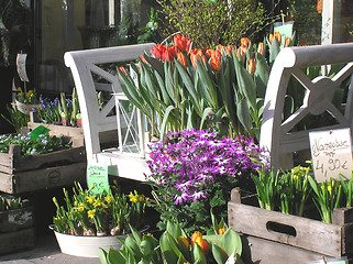 Image showing flower arrangement