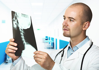 Image showing doctor check xray