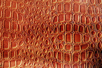 Image showing crocodile leather