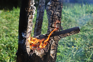 Image showing smouldering trunk