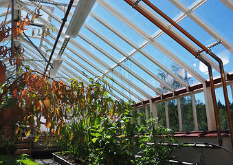 Image showing greenhouse