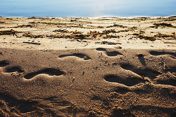 Image showing footprints