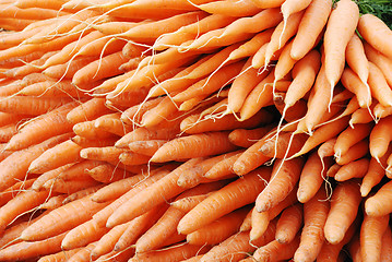 Image showing carrots