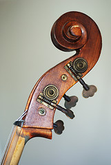 Image showing contrabass