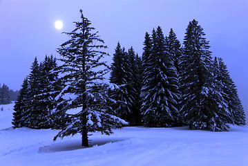 Image showing full moon winter