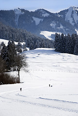 Image showing cross-country skiing