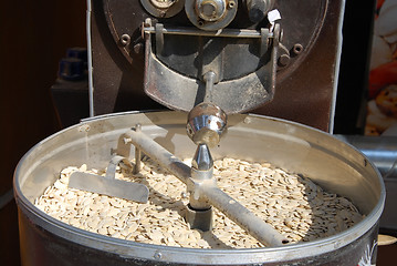 Image showing roasted pumpkin seeds