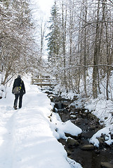 Image showing woman in winter