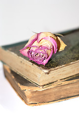 Image showing rose on book