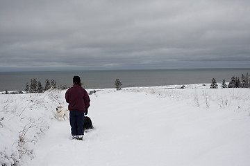 Image showing Woman walks her dogs