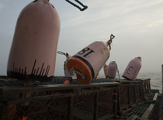 Image showing Fishing Buoys