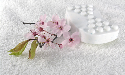 Image showing home spa - a litte pink flowers
