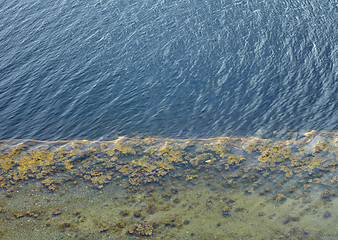 Image showing Coastal line of northern sea- outflow