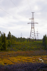 Image showing High-voltage lines passing through woods