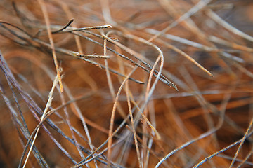 Image showing Rusty metal wire in mess