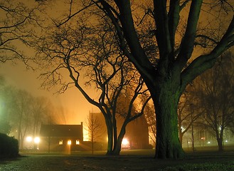 Image showing Foggy night in the park.