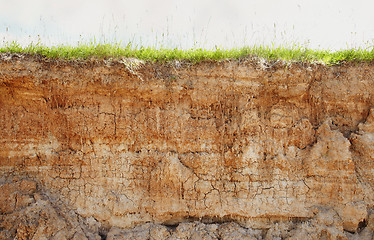 Image showing Clay soil with cracks and green grass