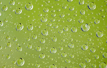 Image showing Droplets of rain water