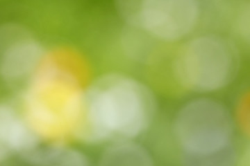 Image showing Abstract color background - out-of-focus photo of meadow