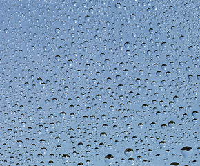 Image showing Small drops of water on glass surface
