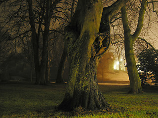 Image showing House in the park - a foggy night.