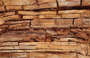 Image showing Rotten wooden background