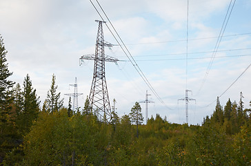 Image showing Wood with several high-voltage support