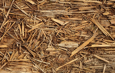 Image showing Decomposed old rotted wood backdrop