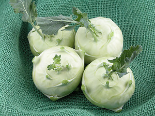 Image showing kohlrabi