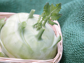 Image showing kohlrabi