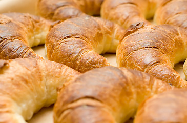 Image showing Tasty croissants or crescent rolls