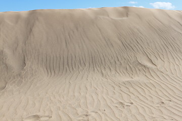 Image showing Dune