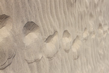 Image showing Dunes