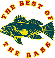 Image showing sea bass fish 