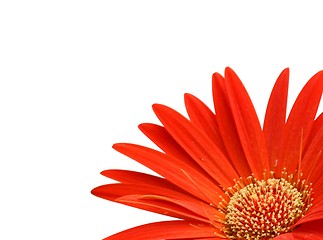 Image showing Gerbera-memo pad room for text